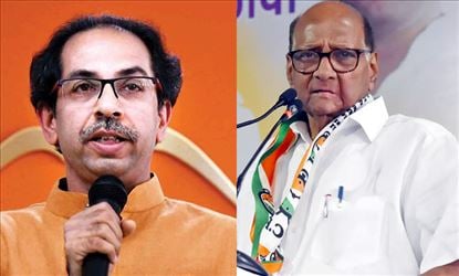 पाठिंब्याचे पत्र न दिल्याने उद्धव ठाकरे राष्ट्रवादीवर नाराज; फोनवरून पवारांशी चर्चा